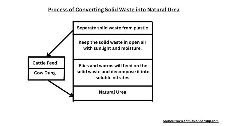 Process of Converting Solid Waste into Natural Urea