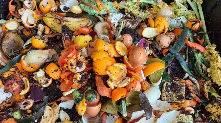 Solid Waste Management for Organic Farming