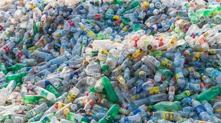 Wild Life Conservation and Recycling