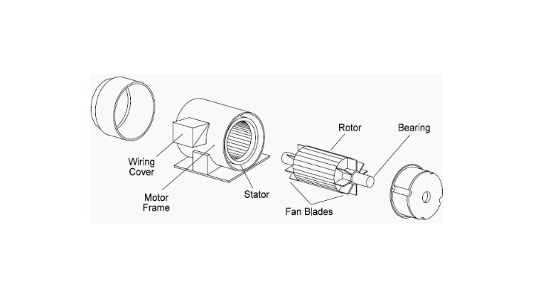 AC & DC Motors: