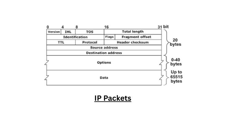 IP Packets at Network Layer