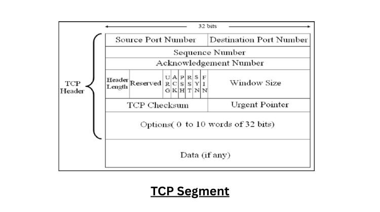 A TCP Segment