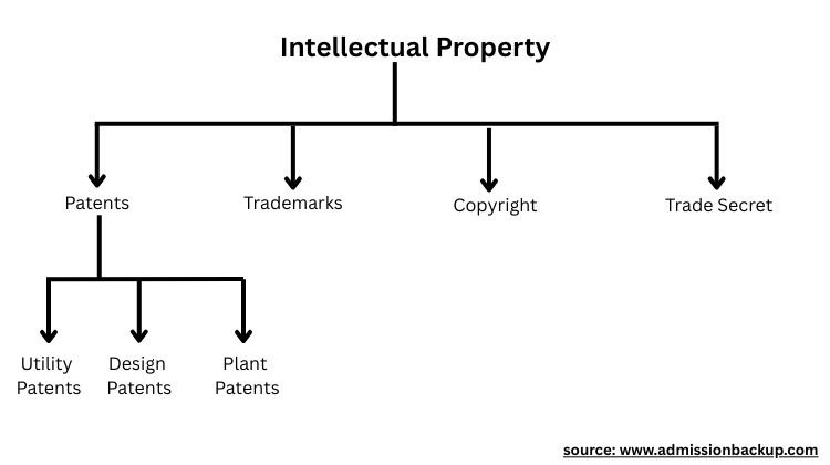 Intellectual Property
