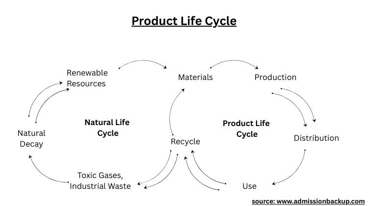 Product Life Cycle